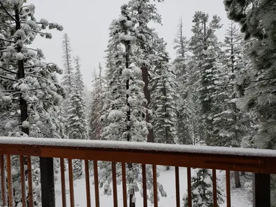 20190516_063250 (Large).jpg